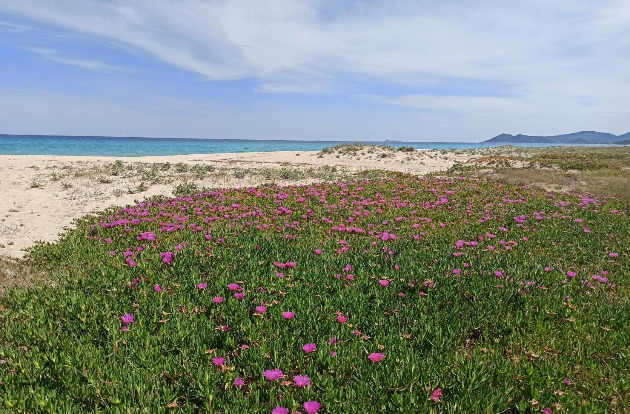 Holiday home Casa Perla Rei - 50 Meters From The *